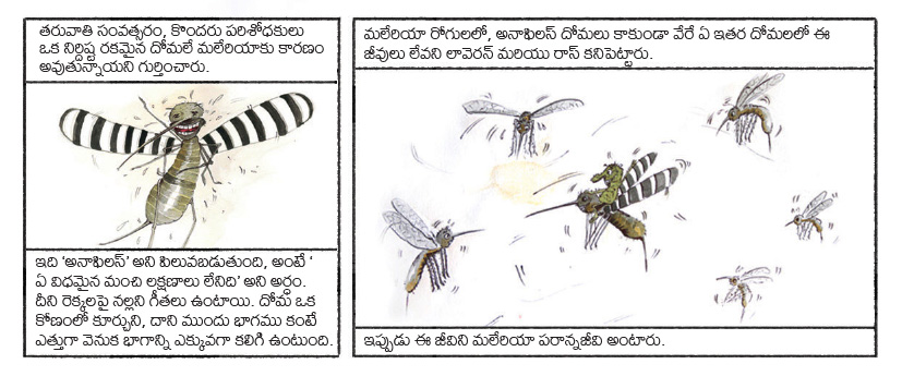 telugu