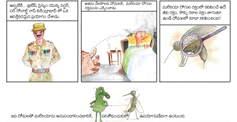 telugu