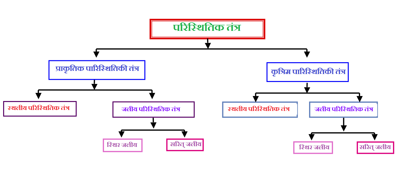 hindi
