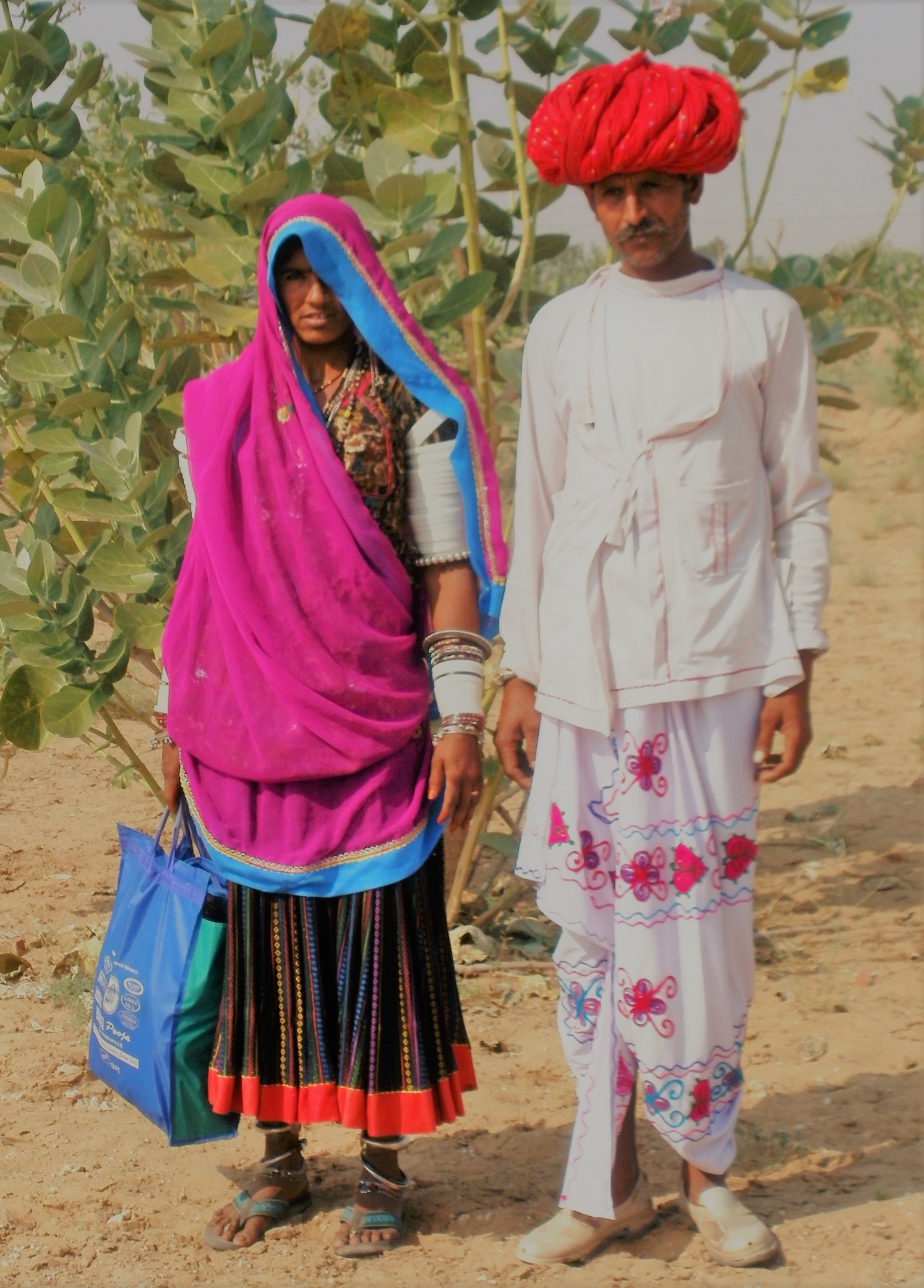 rajasthani