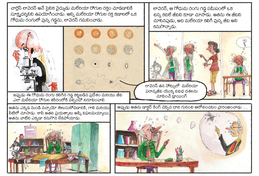 telugu