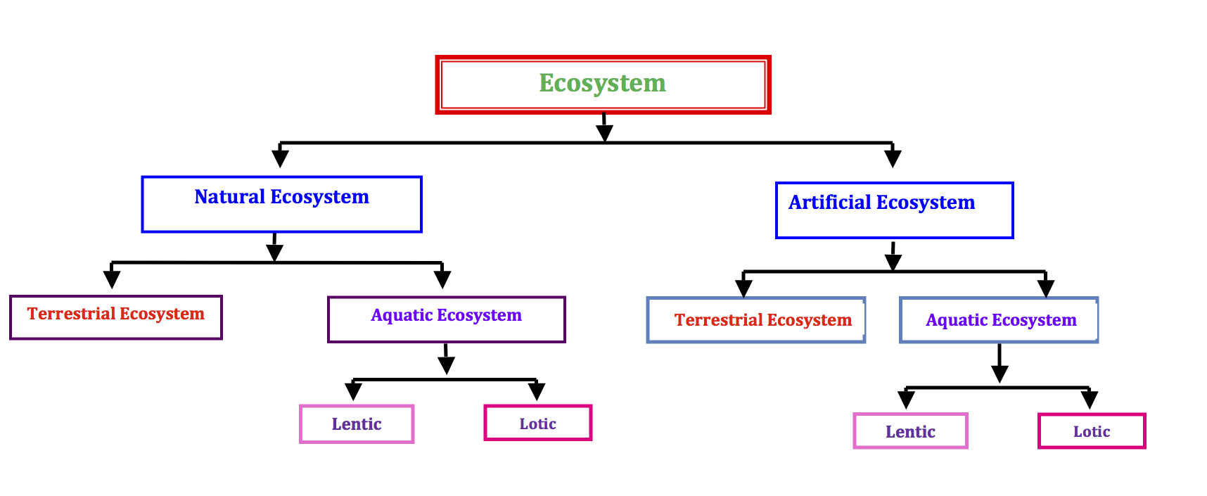ecosystem